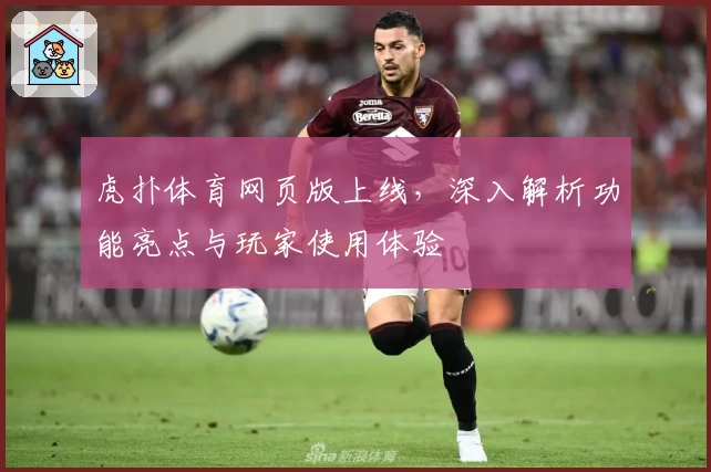 虎扑体育网页版上线，深入解析功能亮点与玩家使用体验
