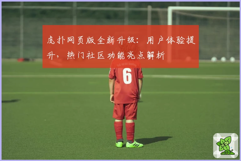 虎扑网页版全新升级：用户体验提升，热门社区功能亮点解析